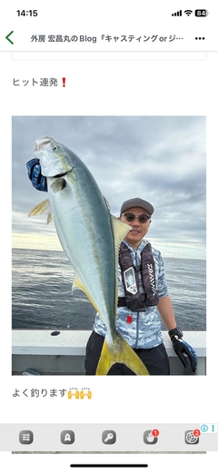 イナダの釣果