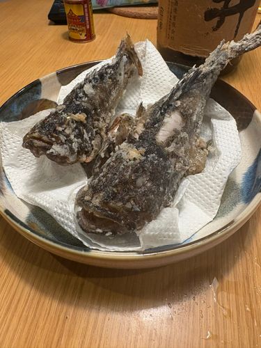 片瀬漁港