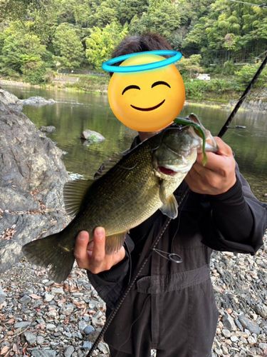 宇治川上流