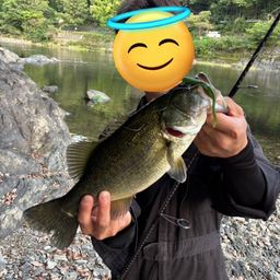 ブラックバス