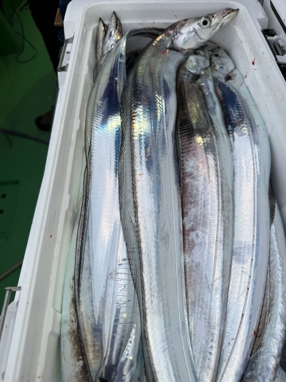 神栄丸さんの釣果 2枚目の画像