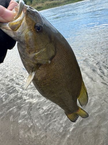 長野県南部