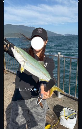 敦賀新港