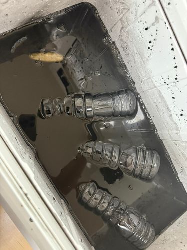 コウイカの釣果