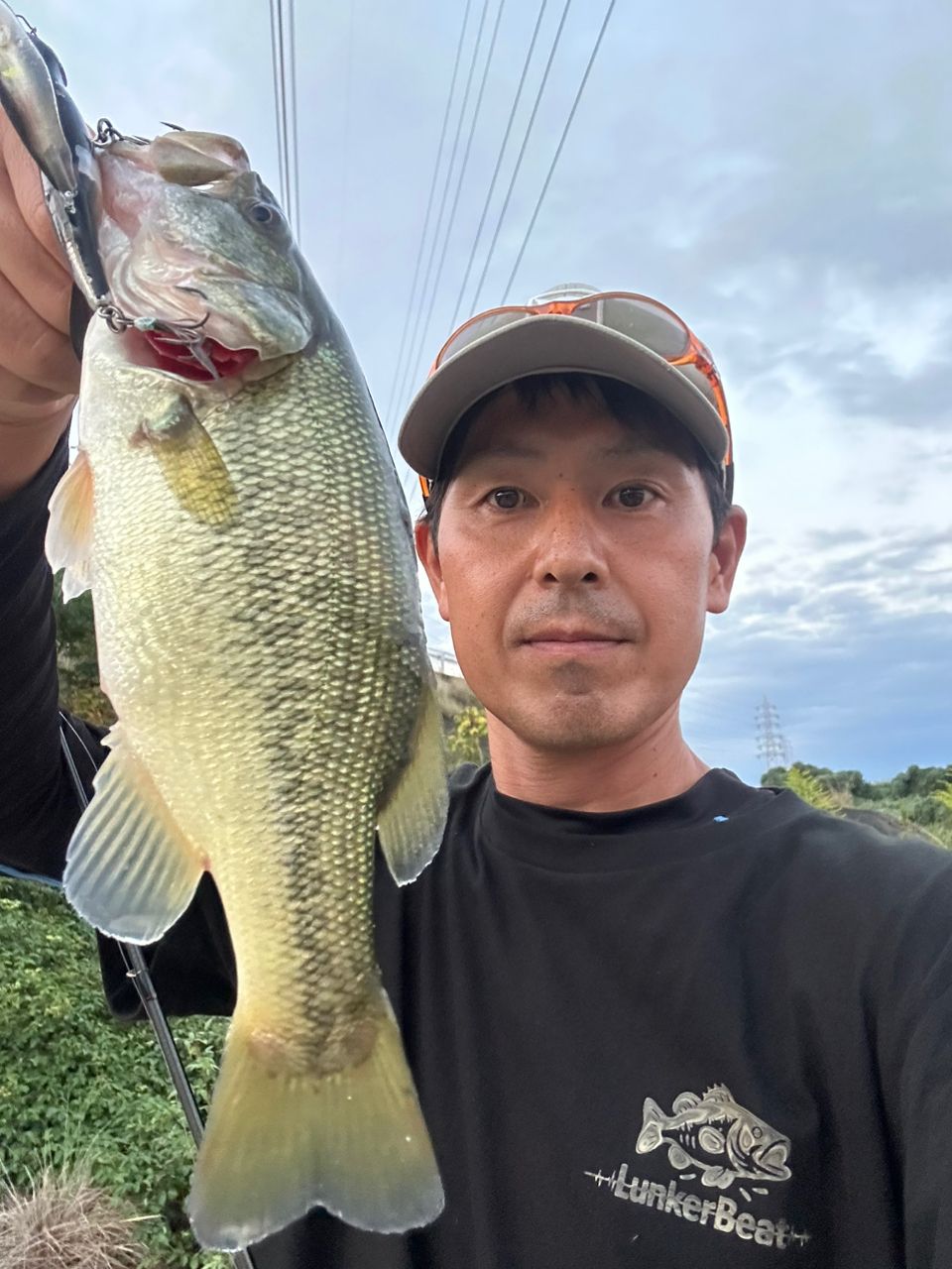 ラージマウスバス