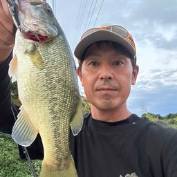 ラージマウスバス