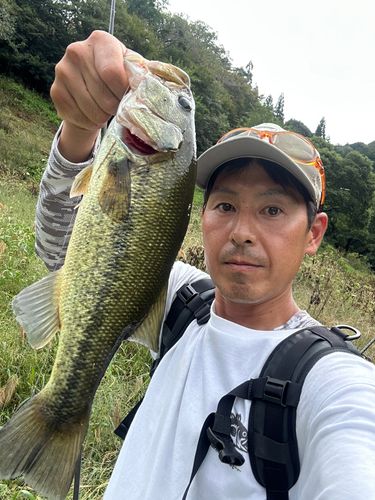 月ヶ瀬湖