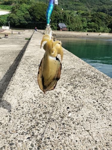 鍋串漁港