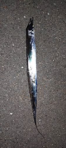 金沢水際線緑地（福浦岸壁）