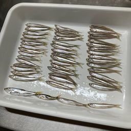 ワカサギ