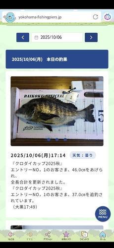 クロダイの釣果