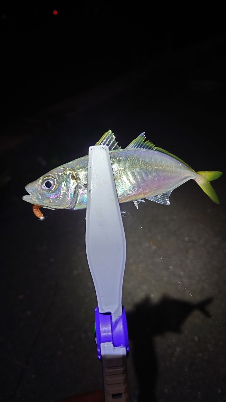 AbuGarcia ソルティーステージ プロトタイプ アジング XAJS