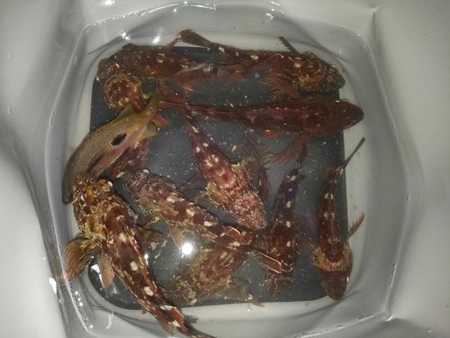 備後灘