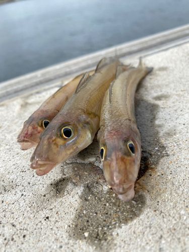 小名浜港アクアマリンふくしま周辺
