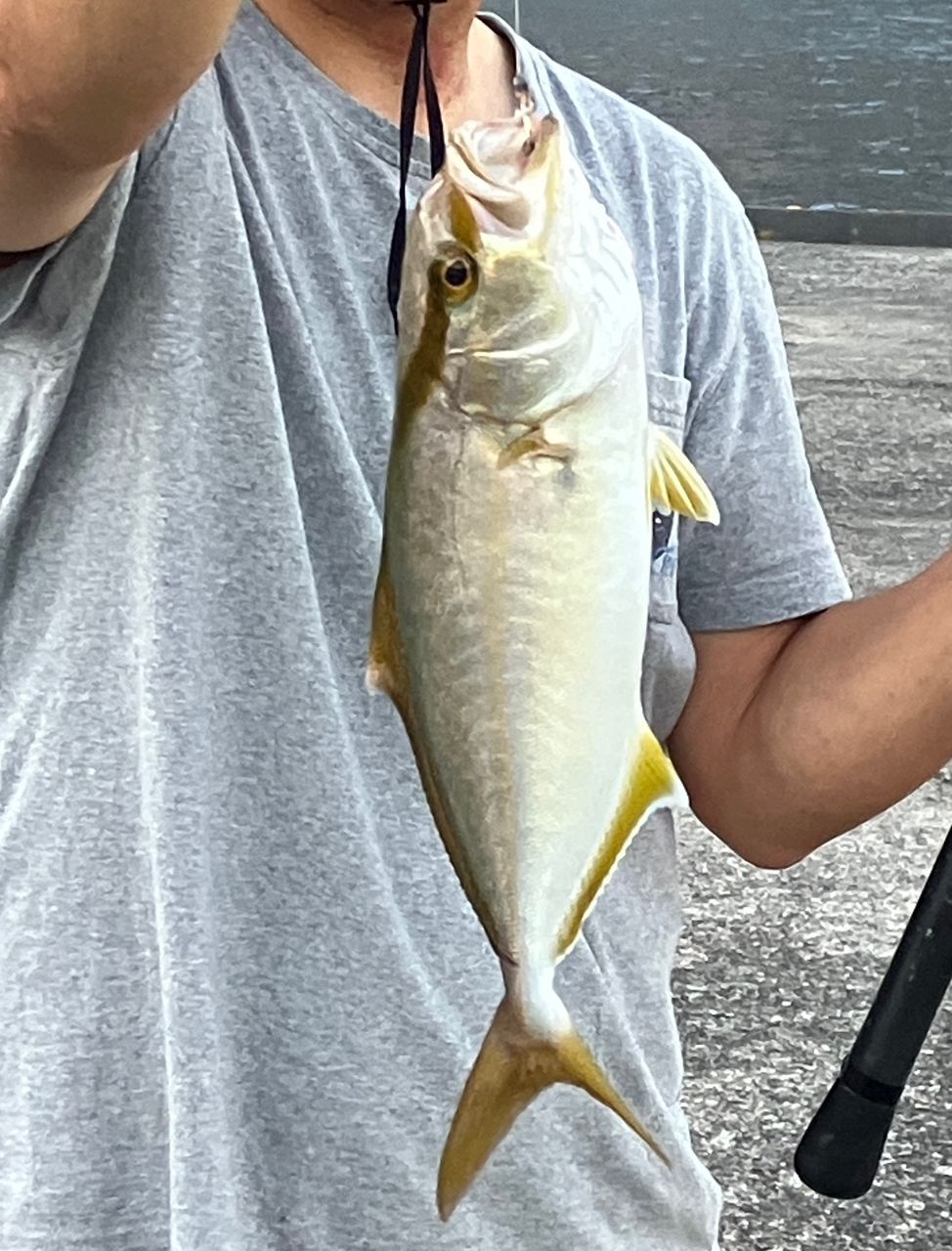 ショゴ