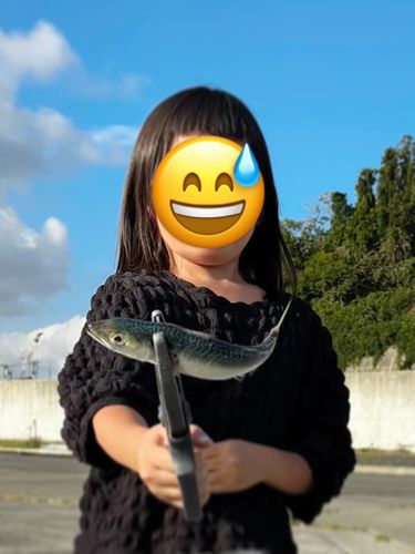 唐桑漁港