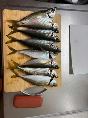 玄界灘