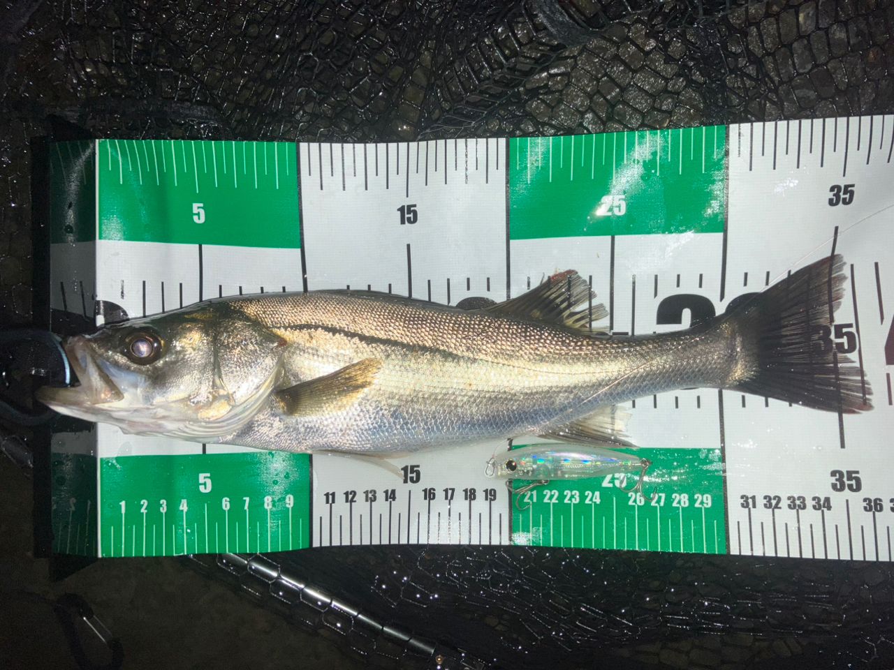 DAIWA 21シーバスハンター X 96M・Rの最安値・インプレ・釣果