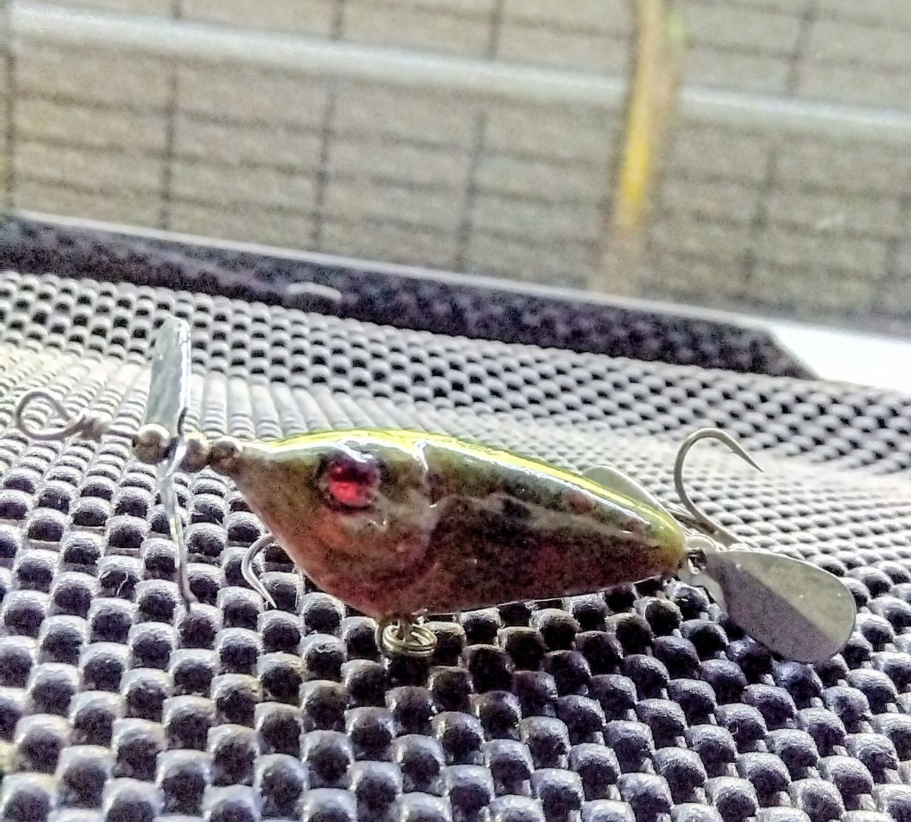 ブラックバス