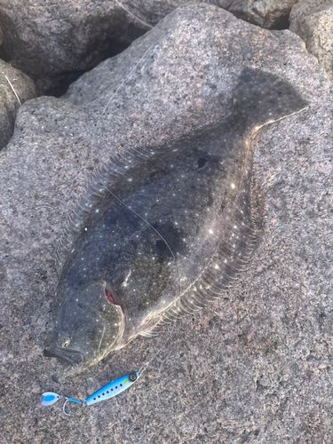 広島湾