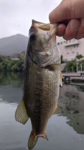 相模湖公園前