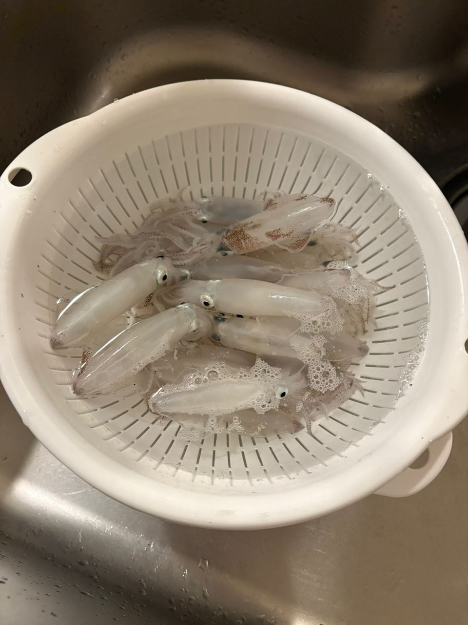 マメイカ