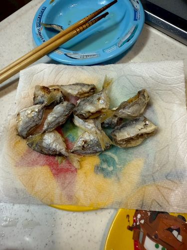 セントレア常滑港前島