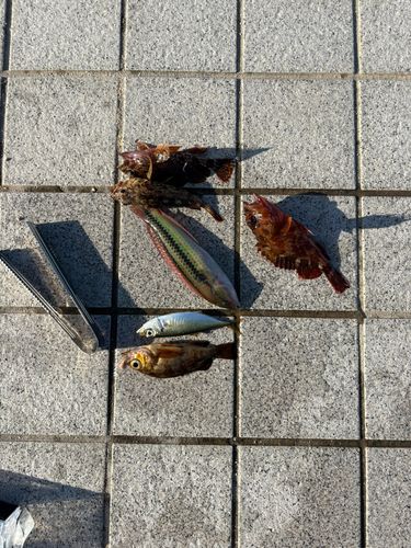 広島湾