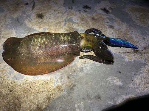 津軽半島