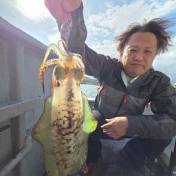 アオリイカ