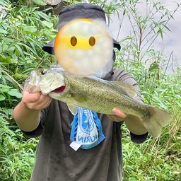 ブラックバス