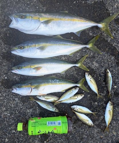 表浜名湖