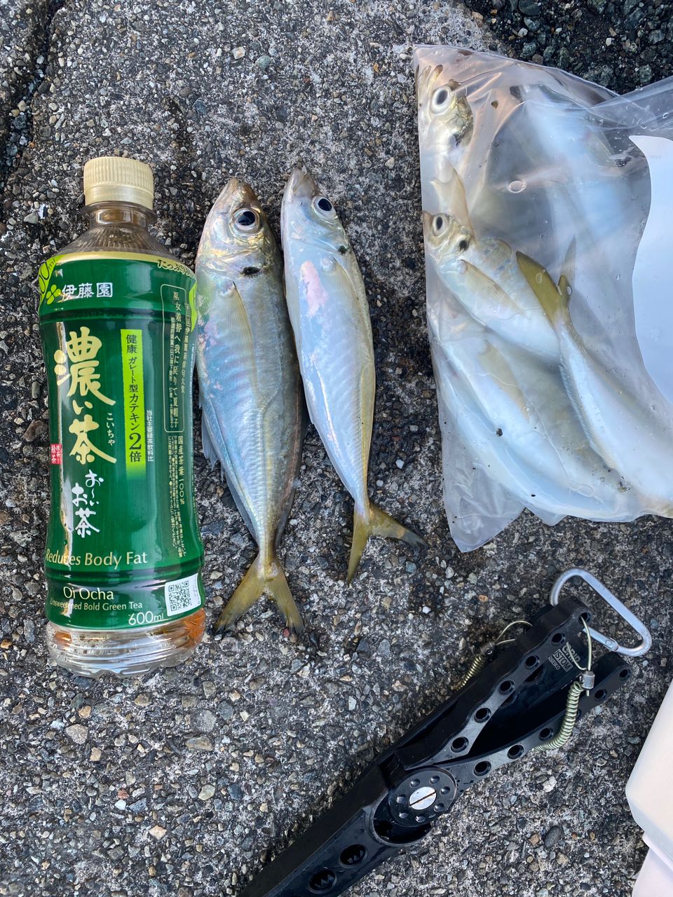 アジ