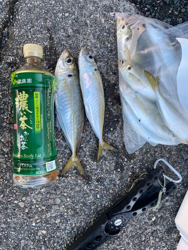 的矢湾