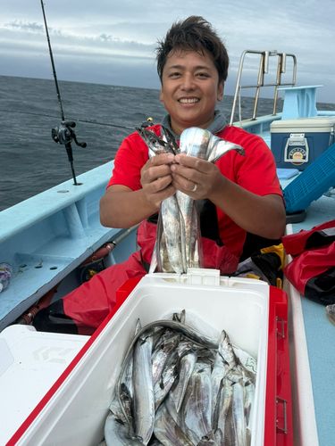 タチウオの釣果