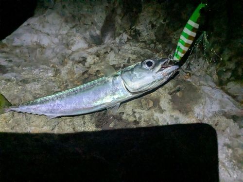 江ノ島