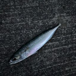 サバ