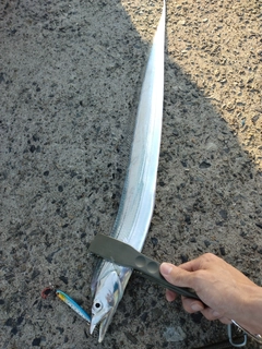 タチウオの釣果