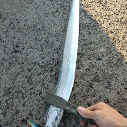 タチウオ