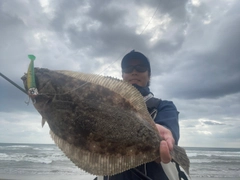 ヒラメの釣果