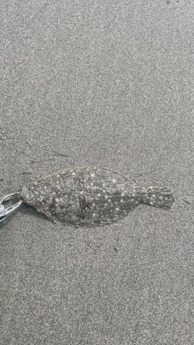大倉戸海岸