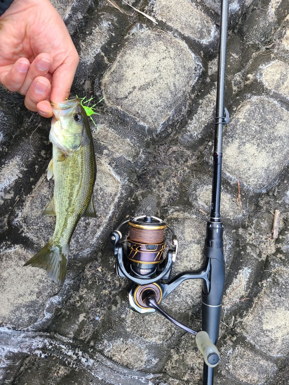 SHIMANO 18ポイズン アドレナ 2610UL/M-2の最安値・インプレ