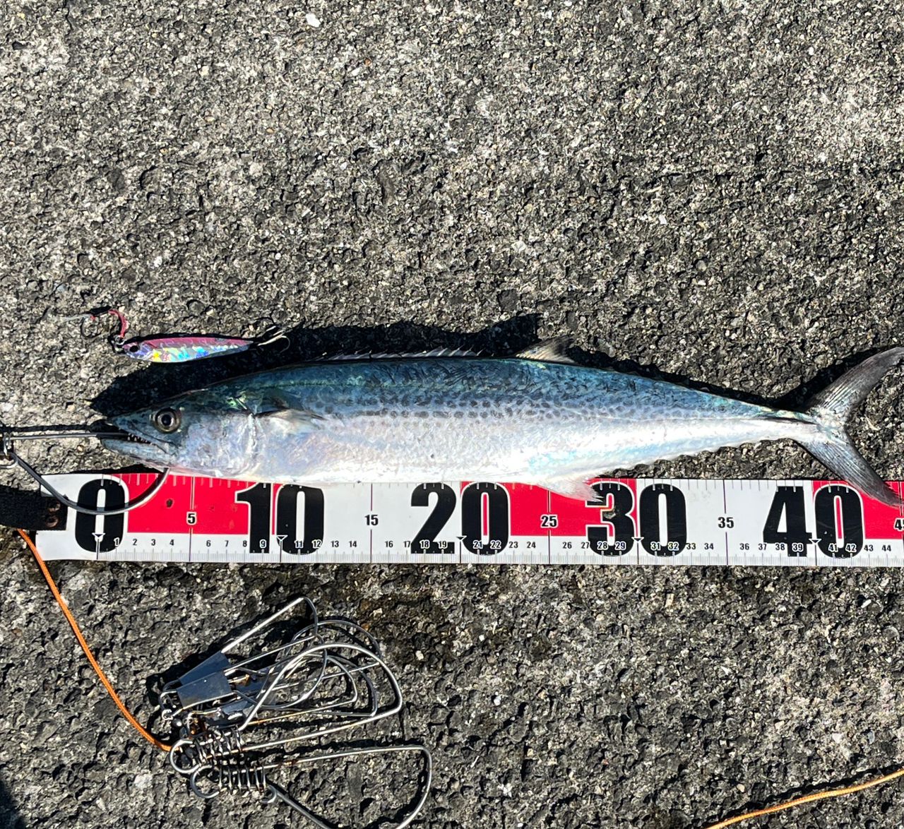 【極美品】シマノ 22コルトスナイパー SS LSJ S96ML 4969363354129_1.jpg