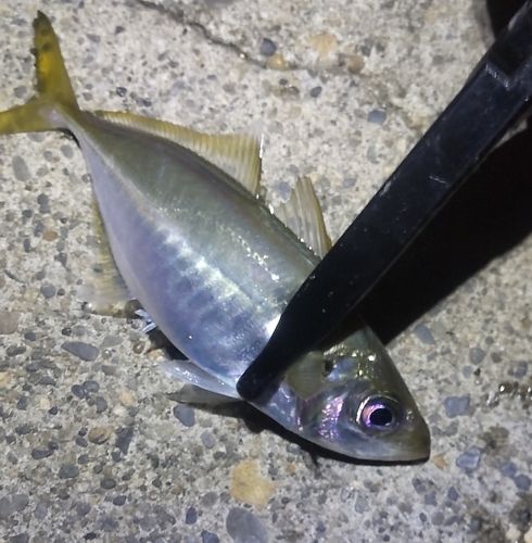那珂湊港