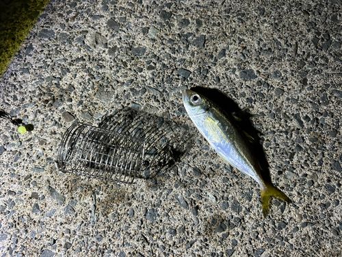 鰺ヶ沢漁港