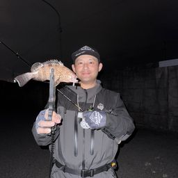 オオモンハタ