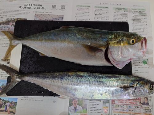 貝塚人工島