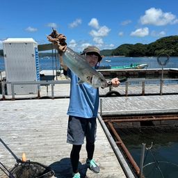 カンパチ