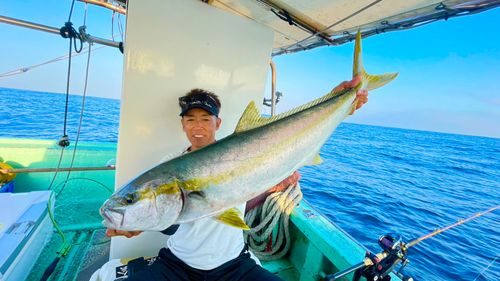 ヒラマサの釣果