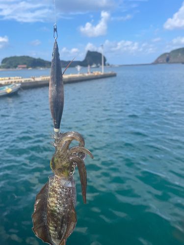 桂島（島根県）